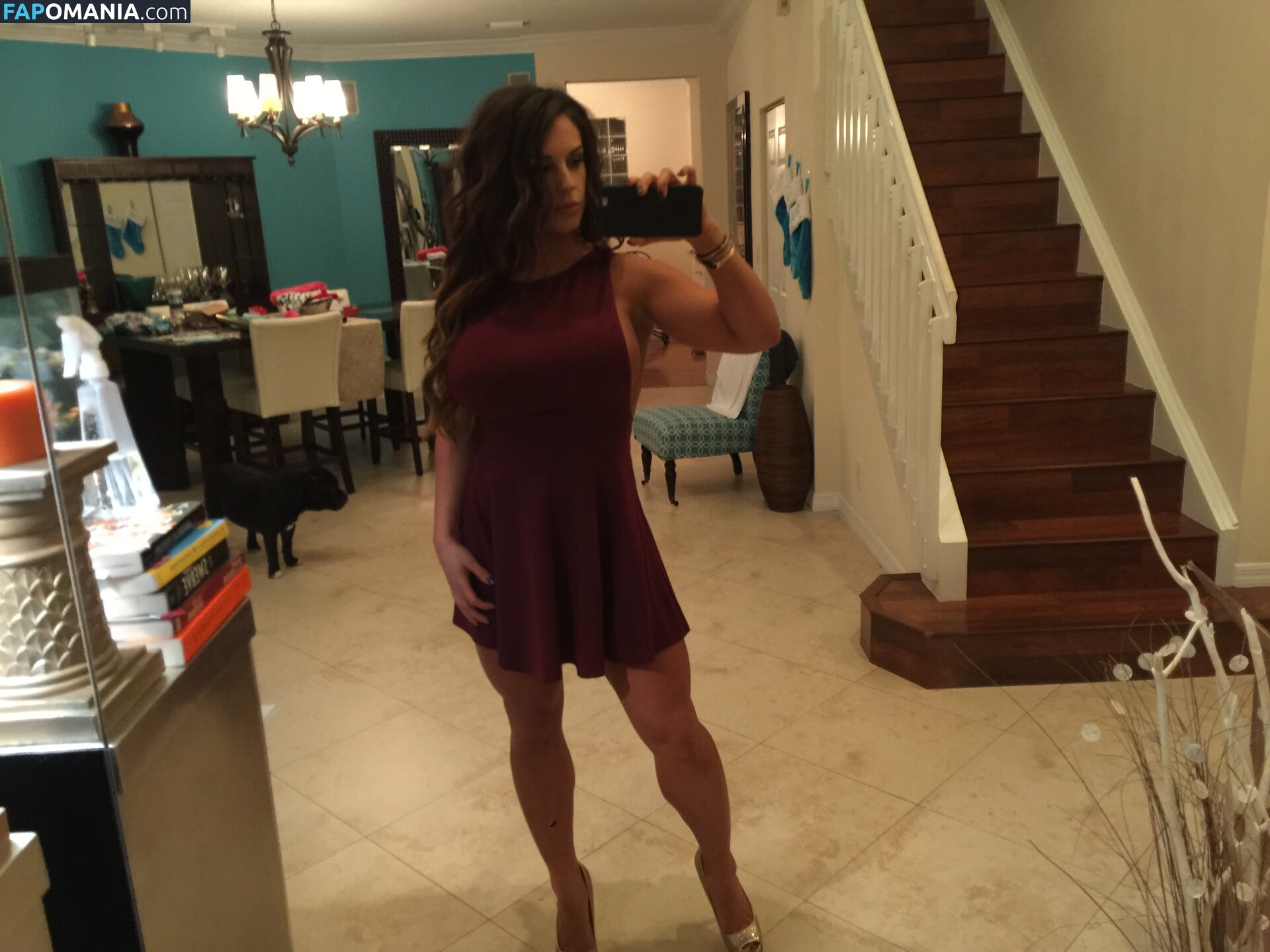 Kaitlyn WWE Nu Photo fuitée #35