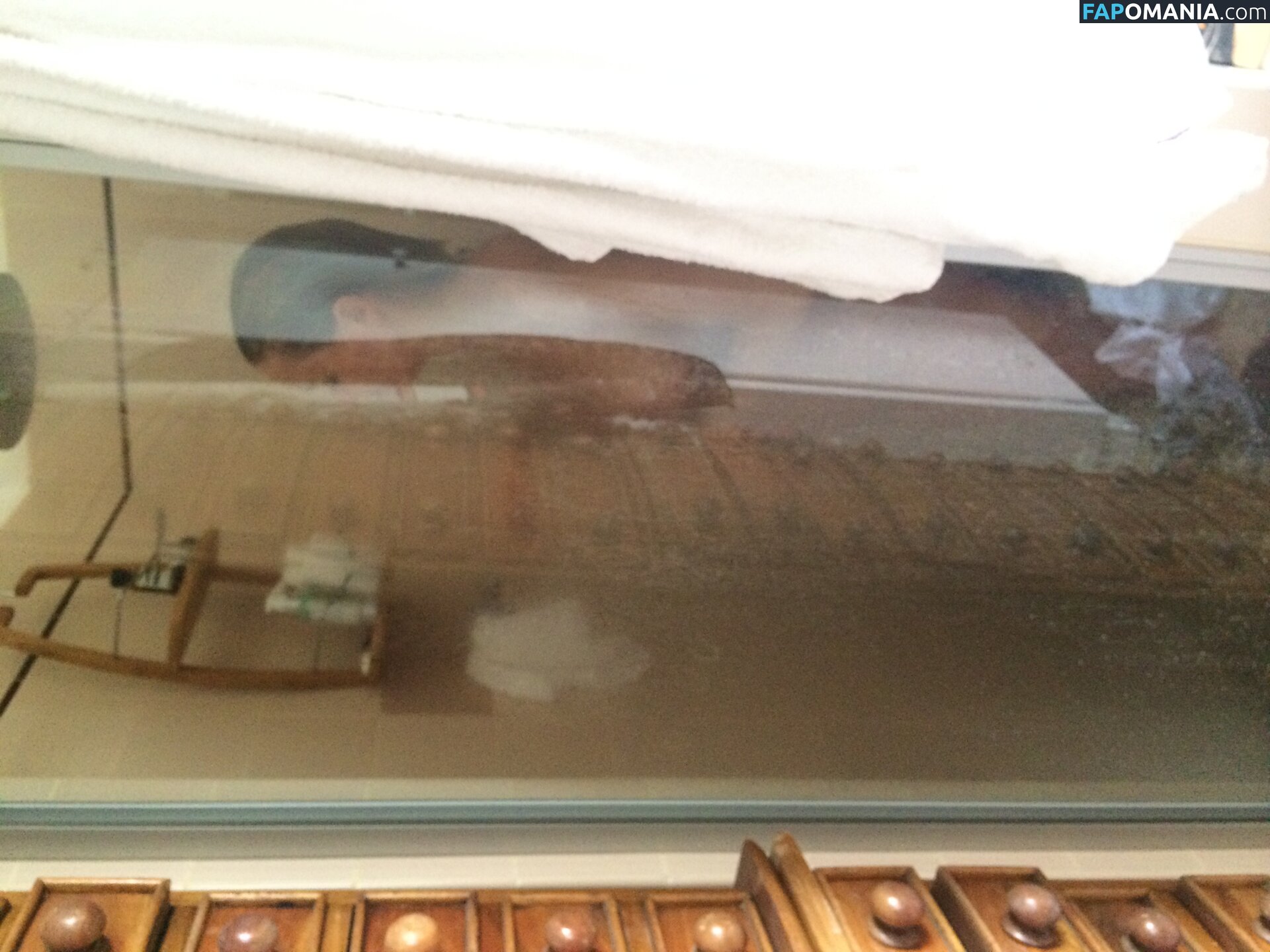 Lara Bingle Nu Photo fuitée #245