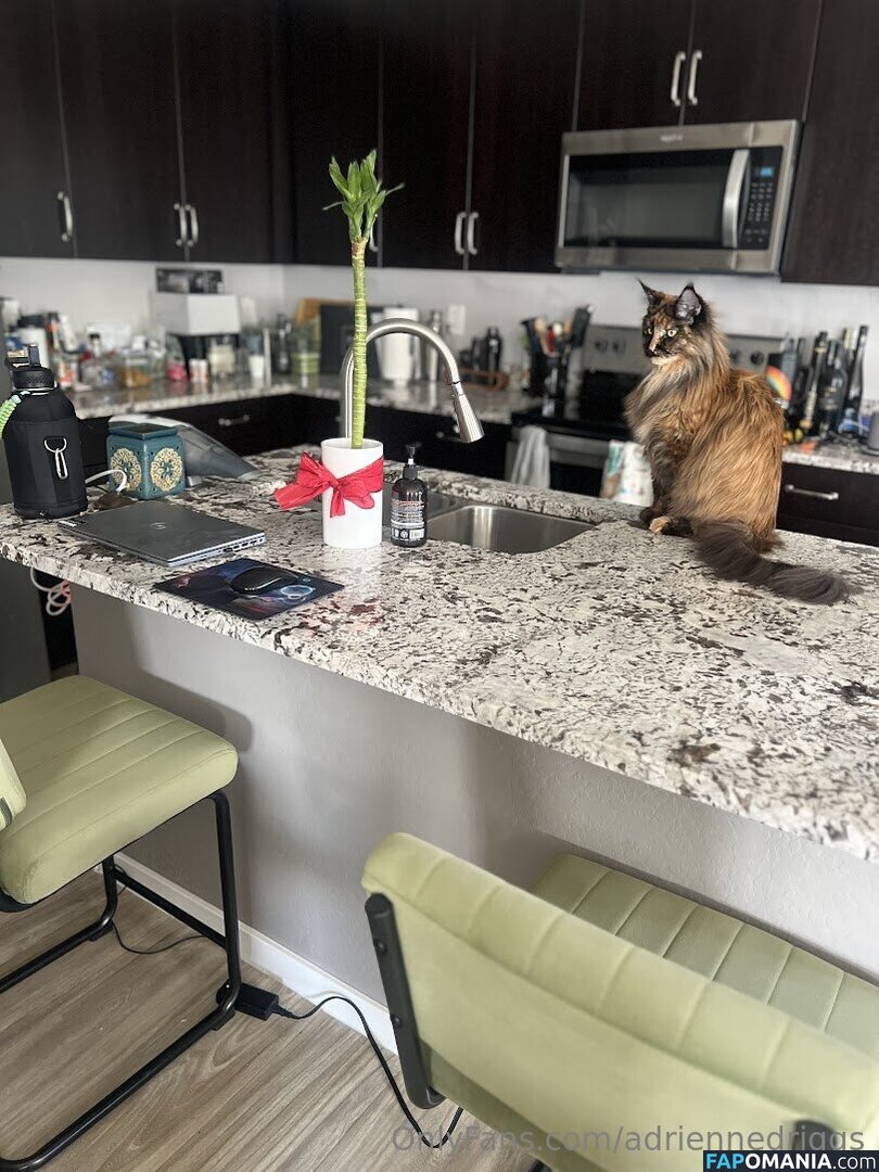 adrienne.driggs / adriennedriggs Nu OnlyFans  Photo fuitée #9