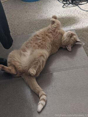 allycakes_12