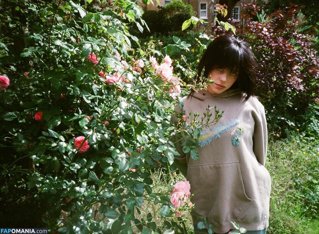 Billie Eilish / Fake / billeeilish / billieeilish Nu OnlyFans  Photo fuitée #2228