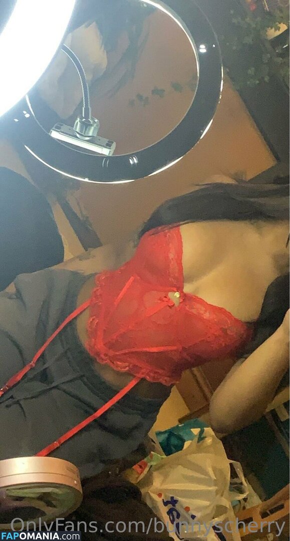 Bunnyscherry / bunnycherry4741 Nu OnlyFans  Photo fuitée #14