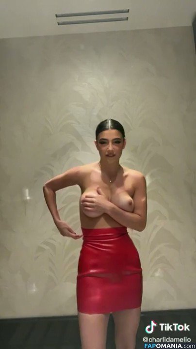 Charli D'Amelio / Charli Damelio / charlidamelio / charliesdamelio Nu OnlyFans  Photo fuitée #72