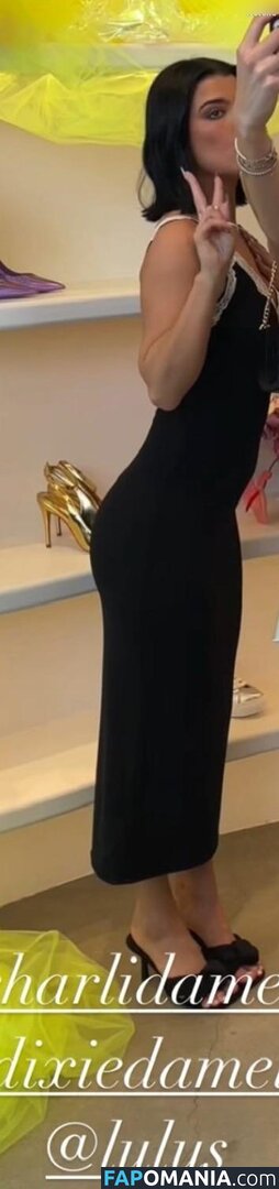 Charli D'Amelio / Charli Damelio / charlidamelio / charliesdamelio Nu OnlyFans  Photo fuitée #1287