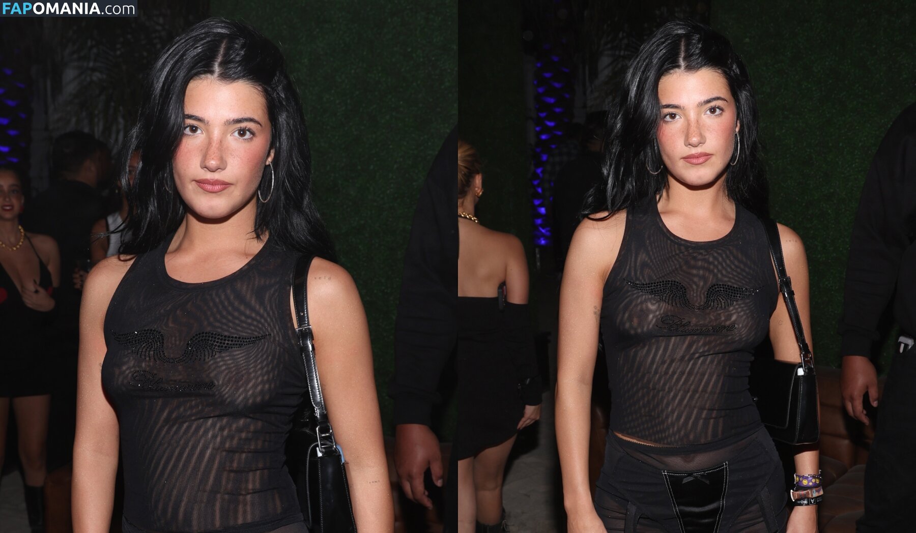 Charli D'Amelio / Charli Damelio / charlidamelio / charliesdamelio Nu OnlyFans  Photo fuitée #1550