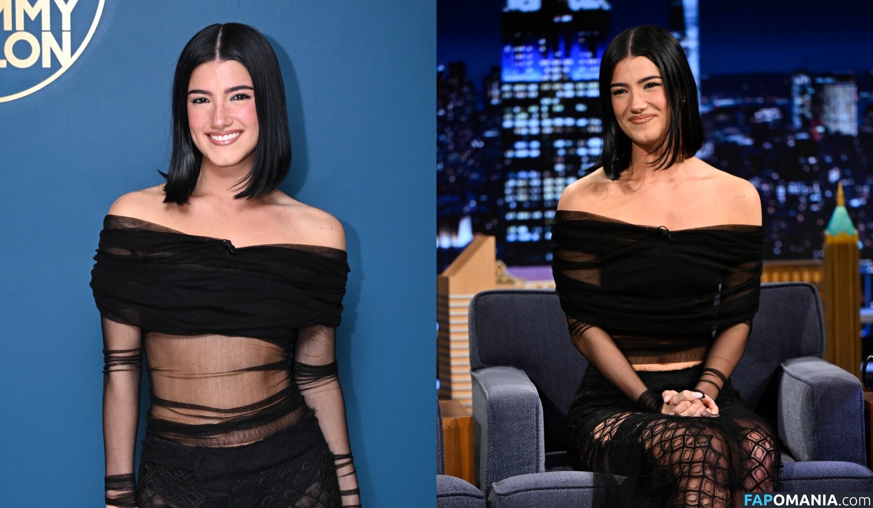 Charli D'Amelio / Charli Damelio / charlidamelio / charliesdamelio Nu OnlyFans  Photo fuitée #1560