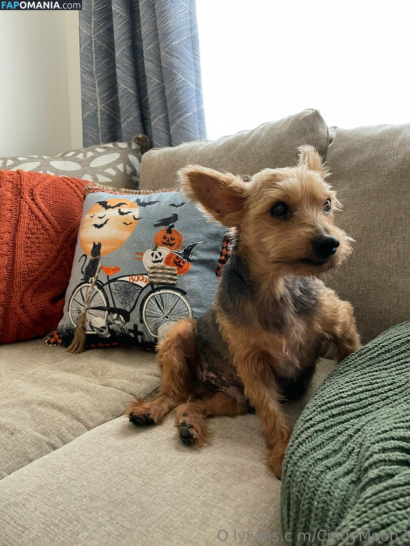 cindymoon007 / cindymoon7 Nu OnlyFans  Photo fuitée #280