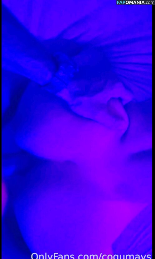 Cogumays / Mayara Vér Meyer Nu OnlyFans  Photo fuitée #465