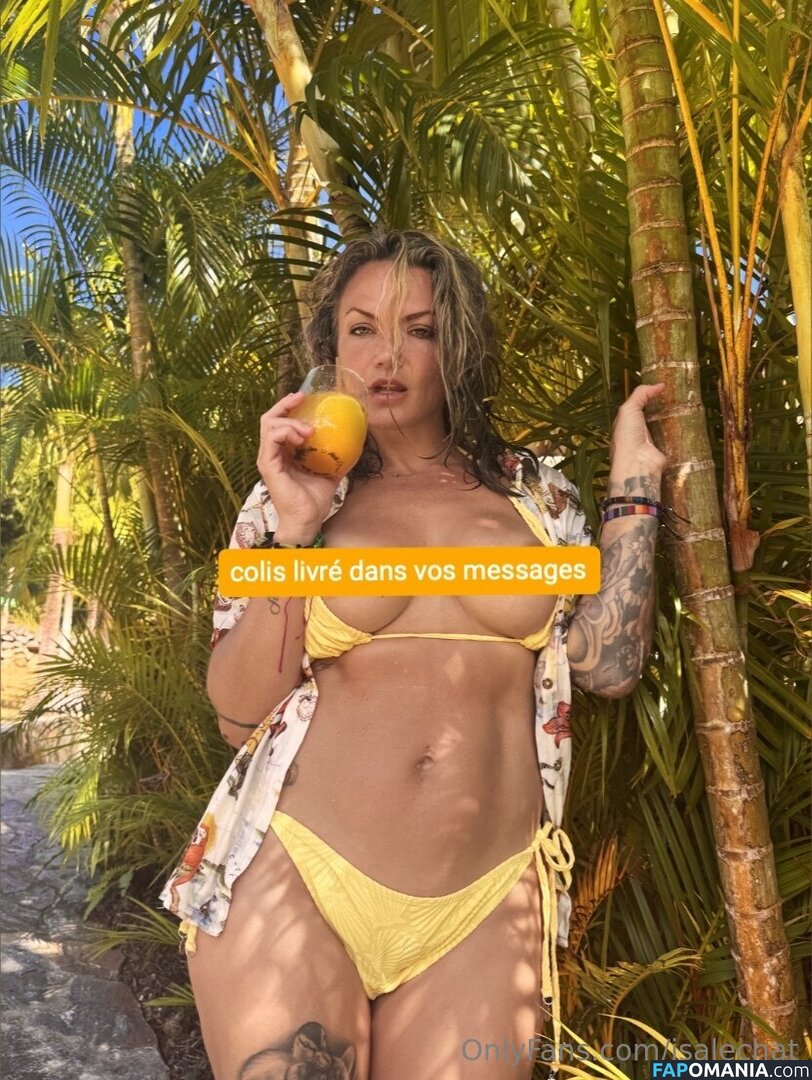 Isabelle Desjardins / isalechat Nu OnlyFans  Photo fuitée #12