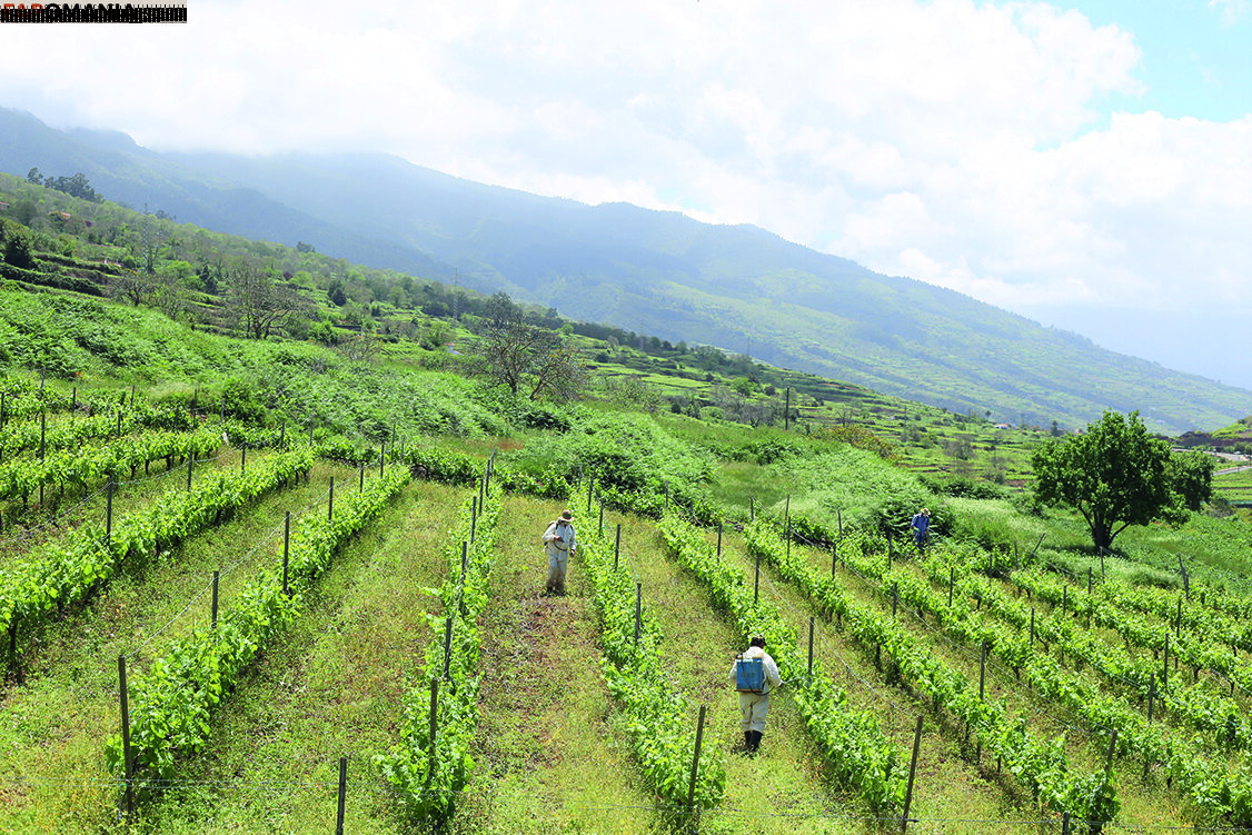 julia_lyn Nu OnlyFans  Photo fuitée #10