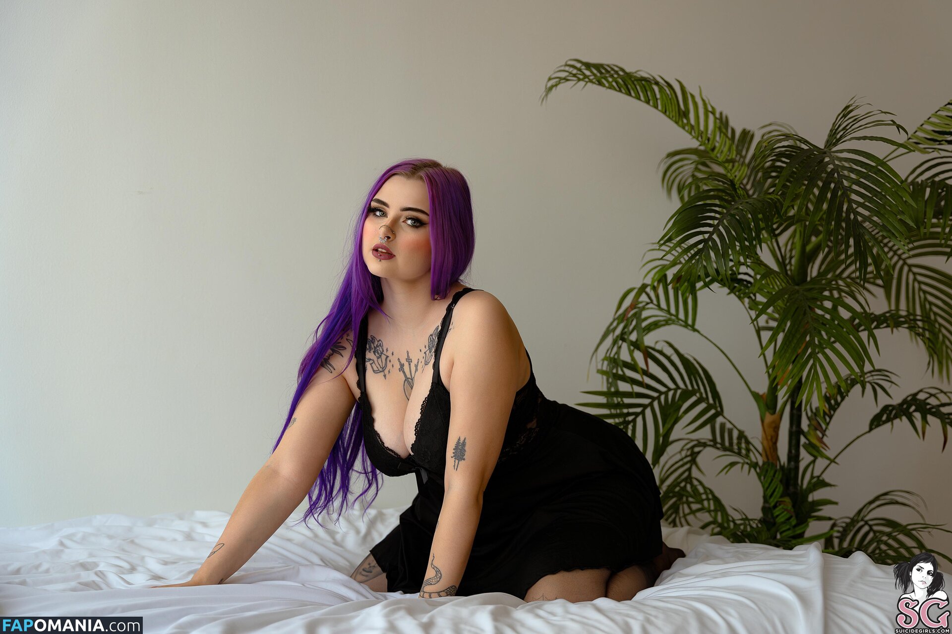 Lilacfables Nu OnlyFans  Photo fuitée #1