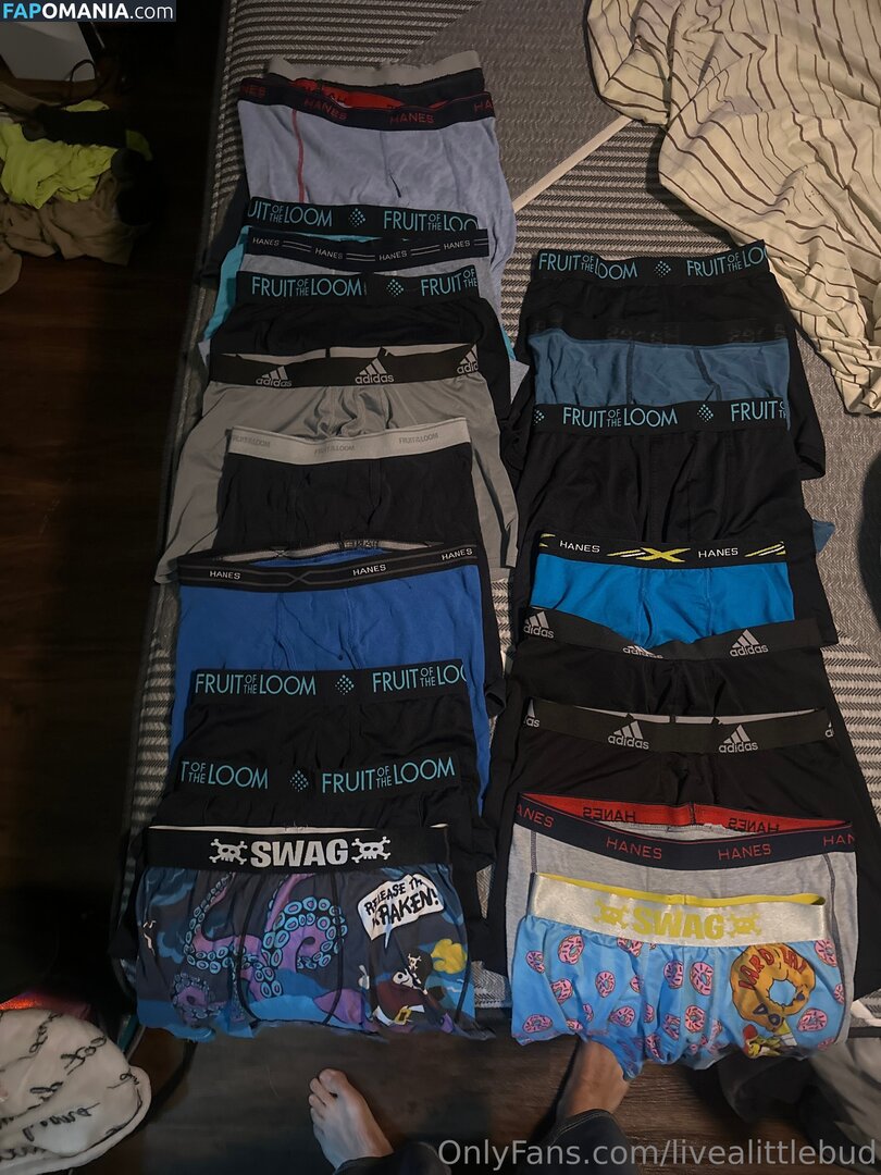 livealittlebud Nu OnlyFans  Photo fuitée #1