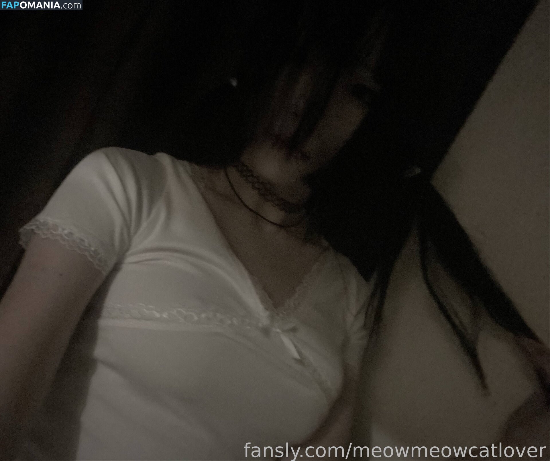 meow.meow.cat.lovers / meowmeowcatlover Nu OnlyFans  Photo fuitée #5
