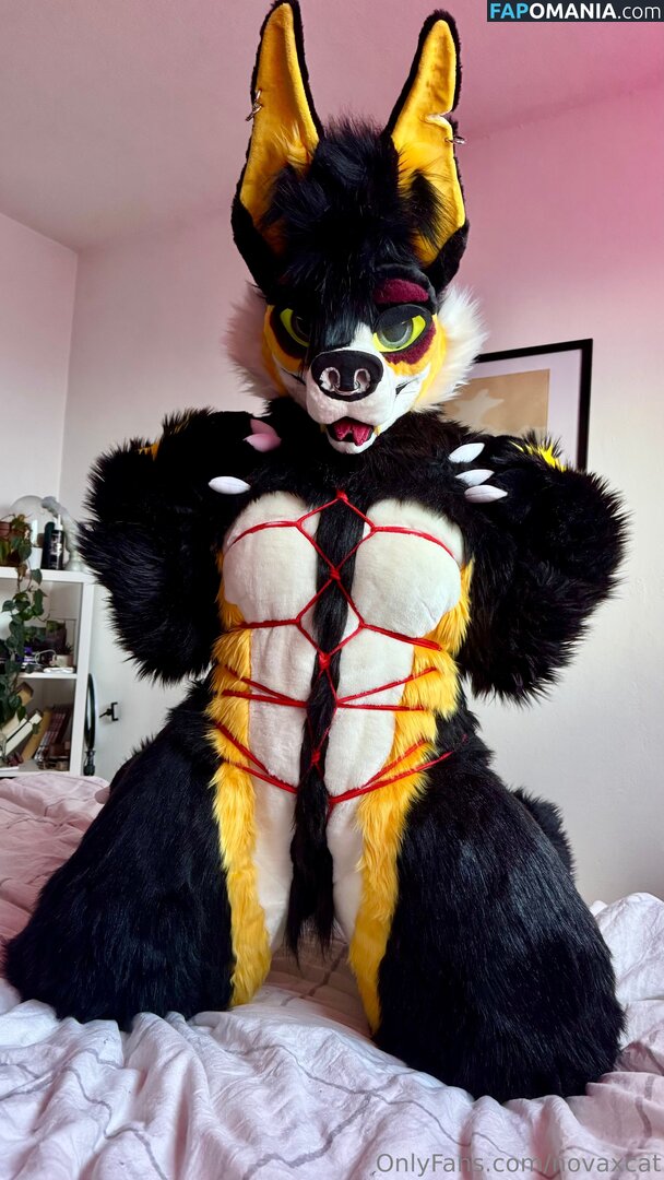 novaxcat / novaxxcat Nu OnlyFans  Photo fuitée #1