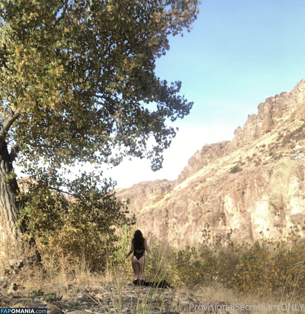 playfulsecret / provisionalsecret Nu OnlyFans  Photo fuitée #1