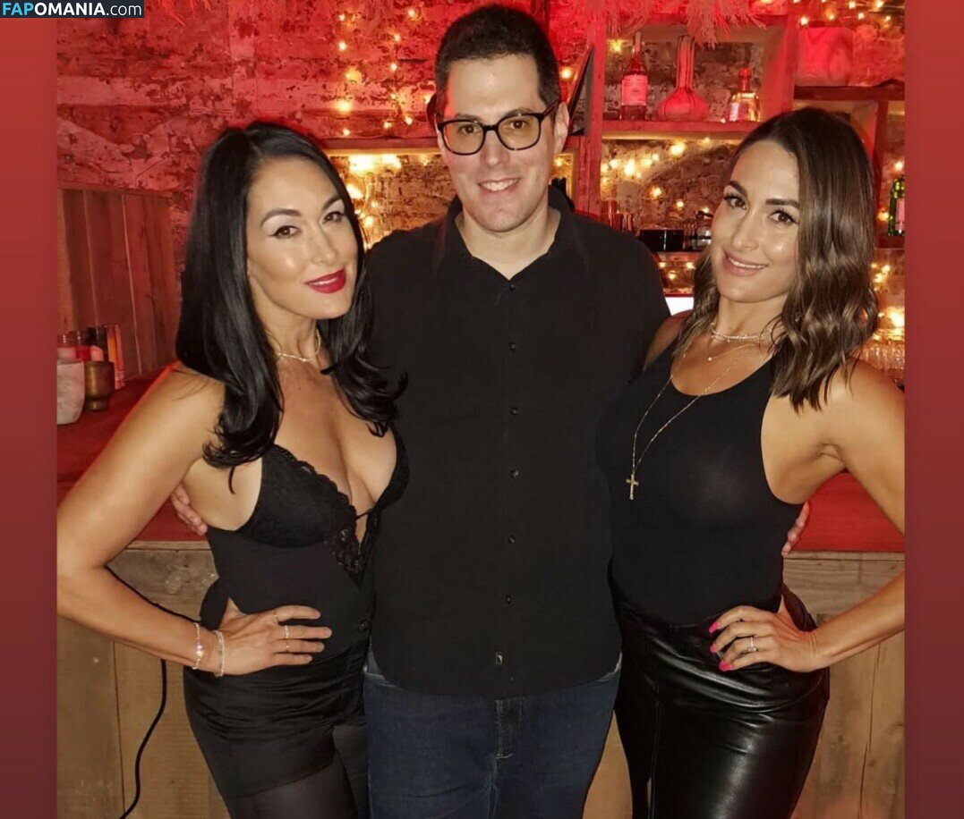 Nikki Bella & Brie Bella / The Bella Twins / thenikkibella Nu OnlyFans  Photo fuitée #202