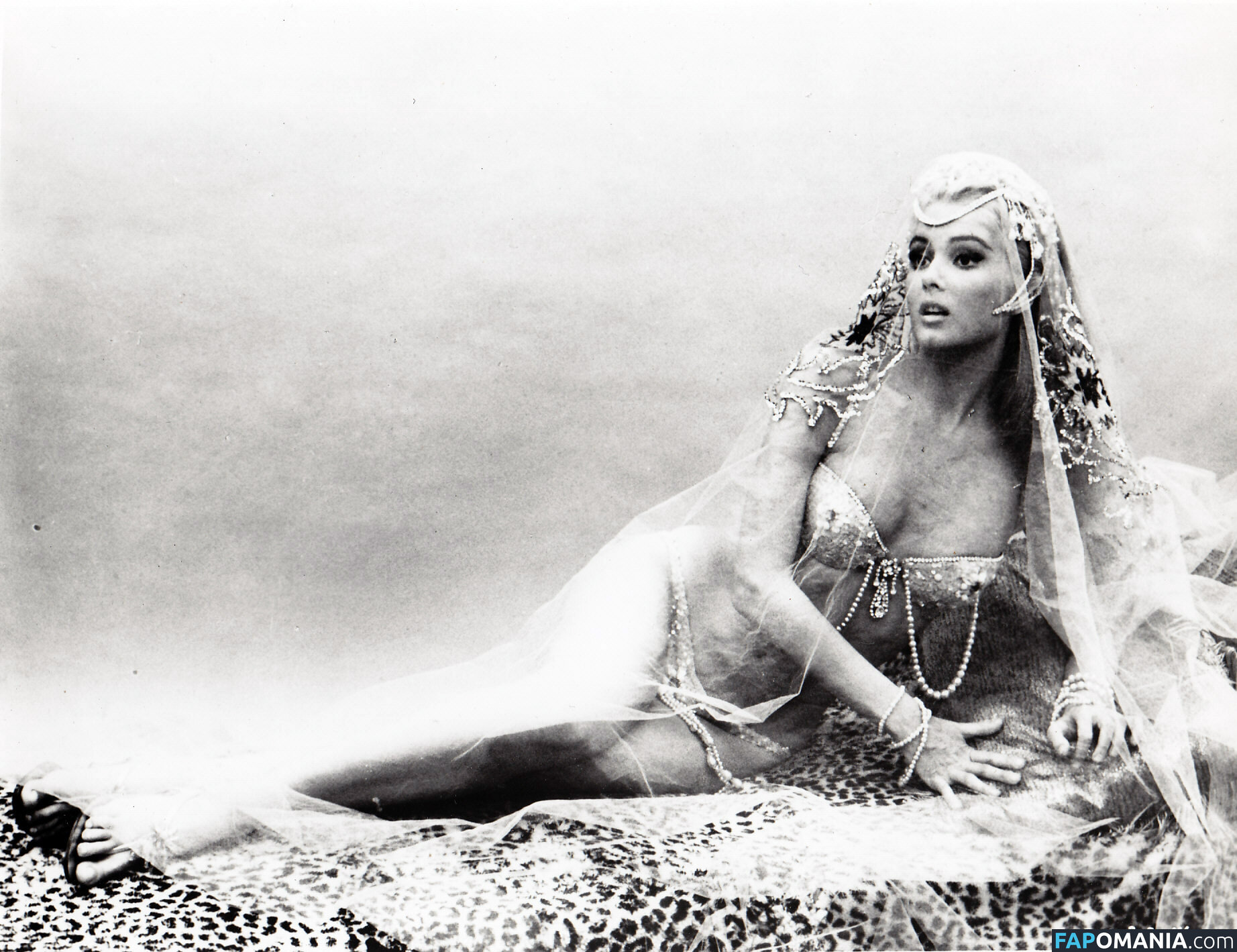 Vintage Starlets Nu OnlyFans  Photo fuitée #543
