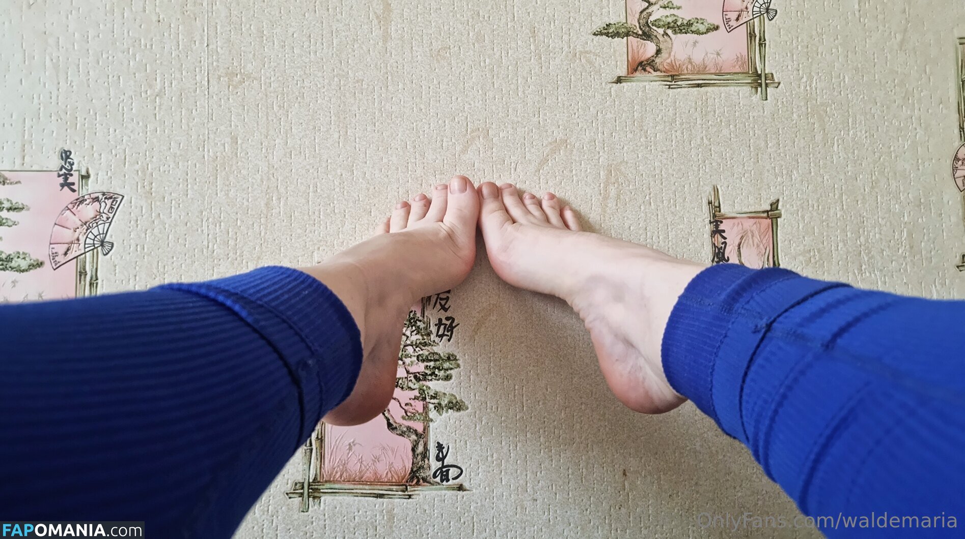 waldamaria / waldemaria Nu OnlyFans  Photo fuitée #4