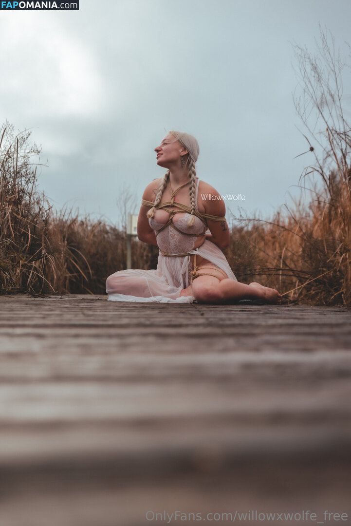 willowxwolfe / willowxwolfe_free Nu OnlyFans  Photo fuitée #11