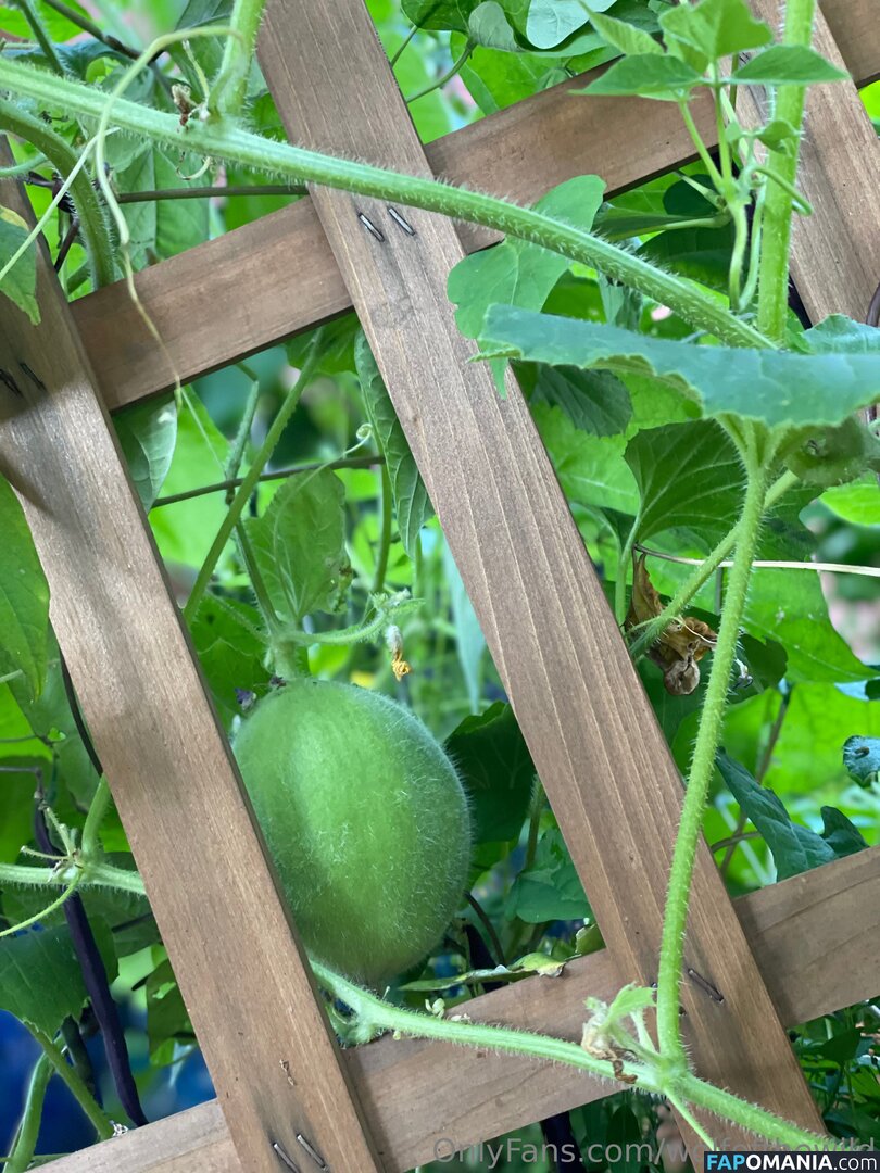 wolfofthewild / wolfofthewildd Nu OnlyFans  Photo fuitée #8