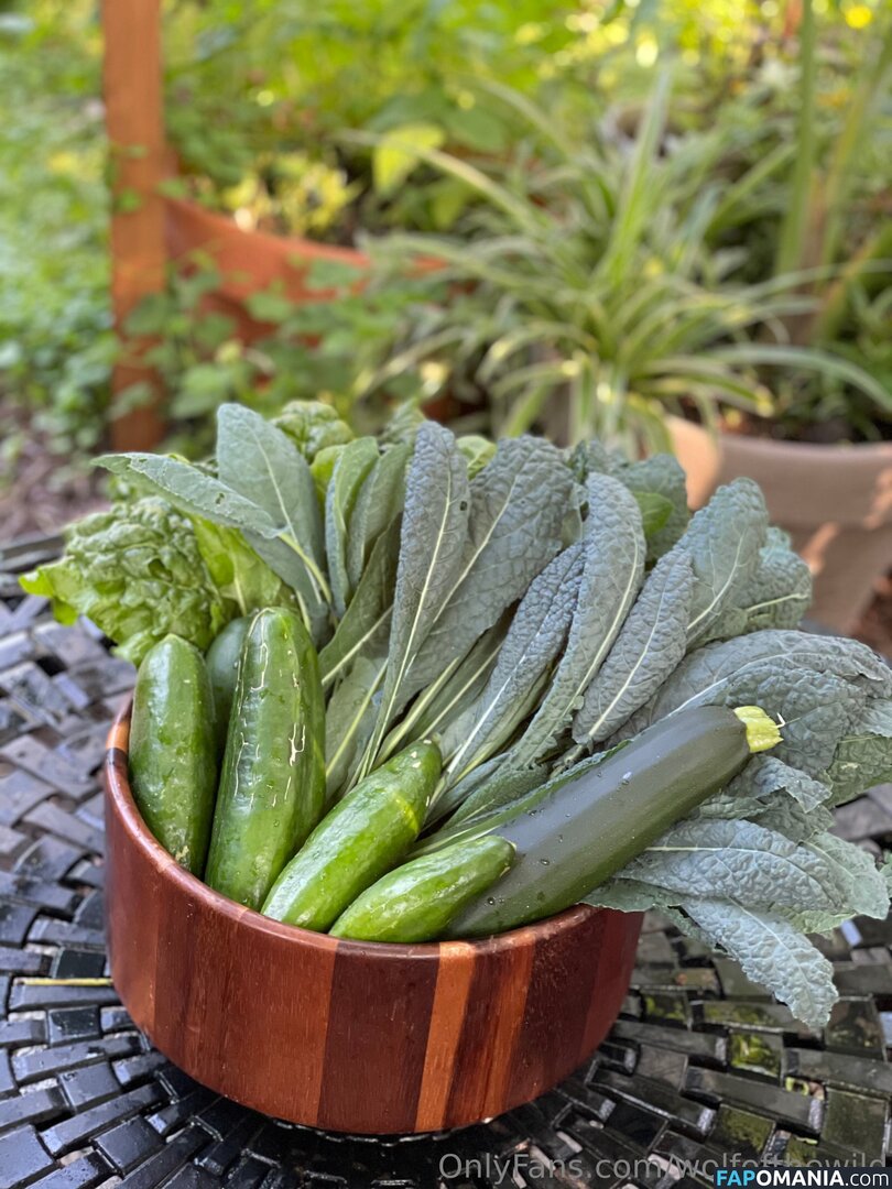 wolfofthewild / wolfofthewildd Nu OnlyFans  Photo fuitée #10