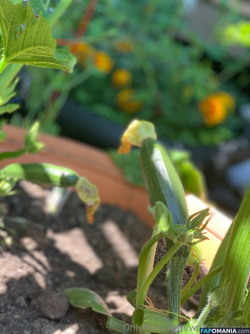 wolfofthewild / wolfofthewildd Nu OnlyFans  Photo fuitée #13